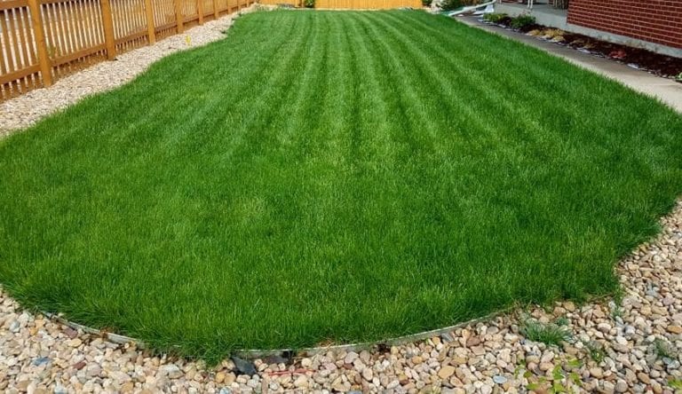 2Proganix Lawn