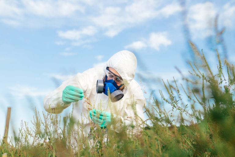 Agriculture pest control – Young worker in protective work wear checking fruit growing plantation.