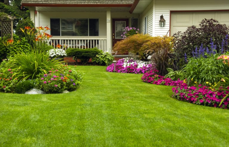 Manicured Spring Summer Residential yard