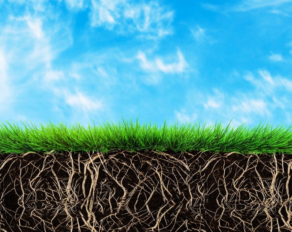 Proganix Lawn Fertilizer Denver, CO Natural Fertilization